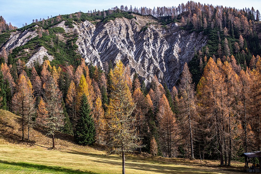 PEDROTTI FABIO-TEMA A- AUTUNNO.jpg - OLYMPUS DIGITAL CAMERA